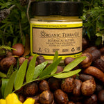 ORGANIC TERRA CO.® Botanical Butter jar surrounded by raw shea nuts, lavender, marigold and fresh herbs on dark botanical background