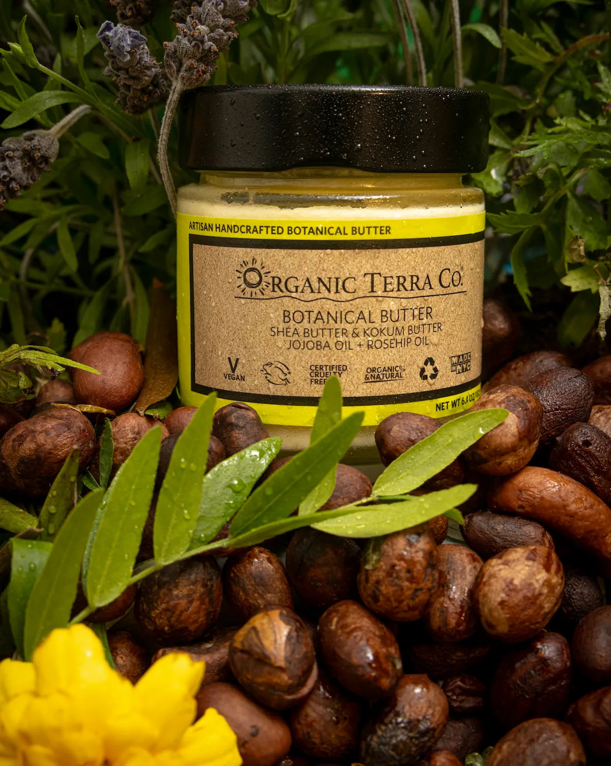 ORGANIC TERRA CO.® Botanical Butter jar surrounded by raw shea nuts, lavender, marigold and fresh herbs on dark botanical background