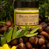 ORGANIC TERRA CO.® Botanical Butter jar surrounded by raw shea nuts, lavender, marigold and fresh herbs on dark botanical background