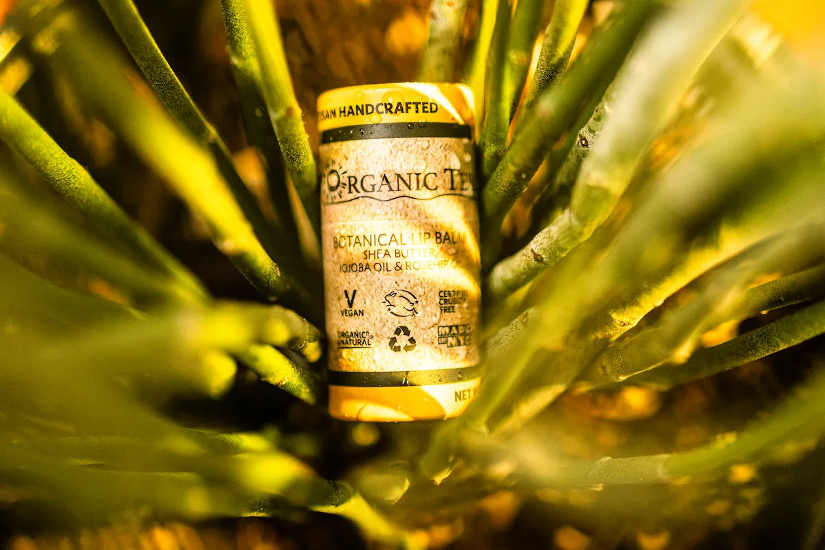 ORGANIC TERRA CO.® Botanical Lip Balm with shea butter jojoba oil and rosehip oil nestled in aloe plant