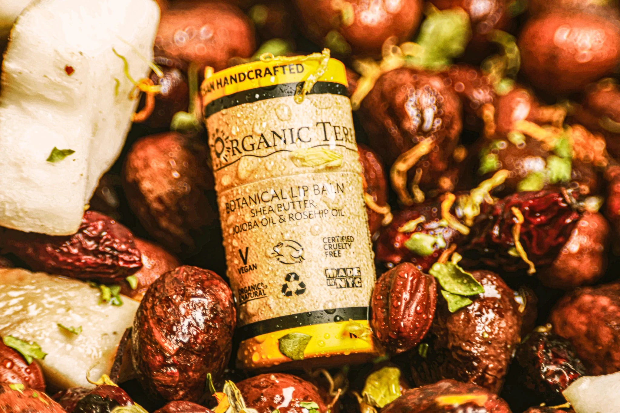 Organic Terra Co. Botanical Lip Balm — shea butter, jojoba and rosehip oils, nestled among jojoba beans