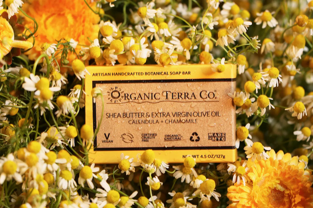 ORGANIC TERRA CO.® Butter Extra Virgin Olive Oil Calendula and Chamomile soap bar box surrounded by fresh chamomile buds and calendula flowers