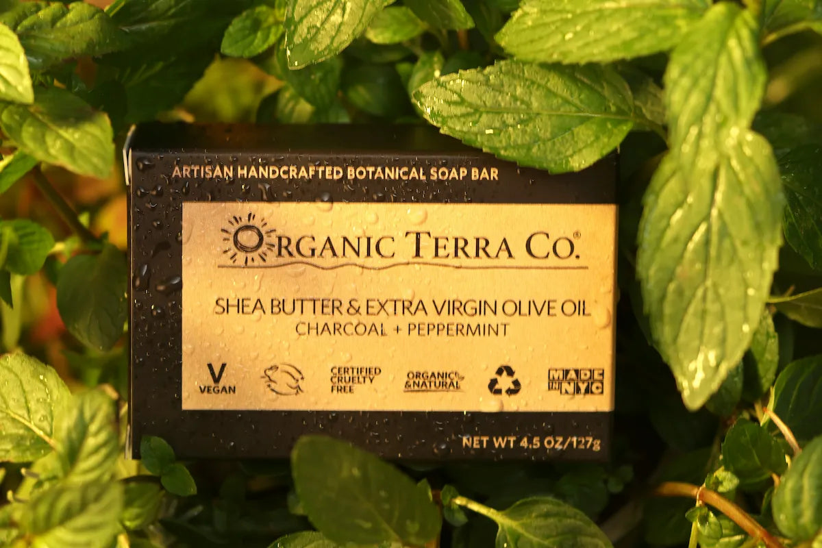 ORGANIC TERRA CO.® Butter Extra Virgin Olive Oil Charcoal and Peppermint soap bar box resting on wet fresh peppermint leaves