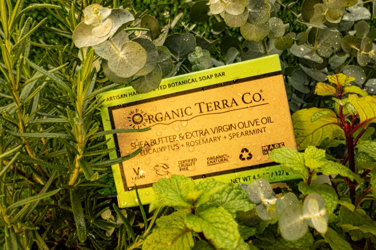 ORGANIC TERRA CO.® Butter Extra Virgin Olive Oil Eucalyptus Rosemary and Spearmint soap bar box resting on wet fresh eucalyptus rosemary and spearmint leaves