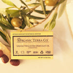 ORGANIC TERRA CO.®Shea Butter and Extra Virgin Olive Oil unscented soap bar box flatlay with fresh olive branch green olives shea nuts and raw shea butter on cream background