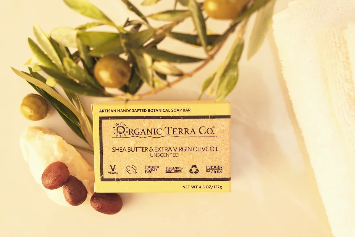 ORGANIC TERRA CO.®Shea Butter and Extra Virgin Olive Oil unscented soap bar box flatlay with fresh olive branch green olives shea nuts and raw shea butter on cream background