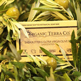 ORGANIC TERRA CO.® Butter and Extra Virgin Olive Oil unscented botanical soap bar box resting on wet olive branch with green olives