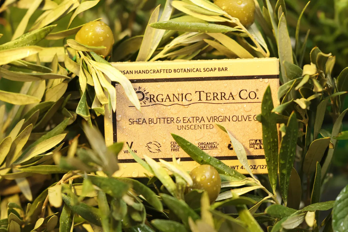 ORGANIC TERRA CO.® Butter and Extra Virgin Olive Oil unscented botanical soap bar box resting on wet olive branch with green olives